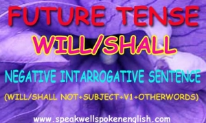Will/Shall Negative Interrogative sentence in Simple future 